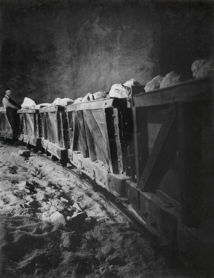 Harold Haliday Costain, On the Way to the Crusher, Avery Island, Louisiana, ​c. 1934. A line of carts is pulled along a track by a man in the left of the frame.