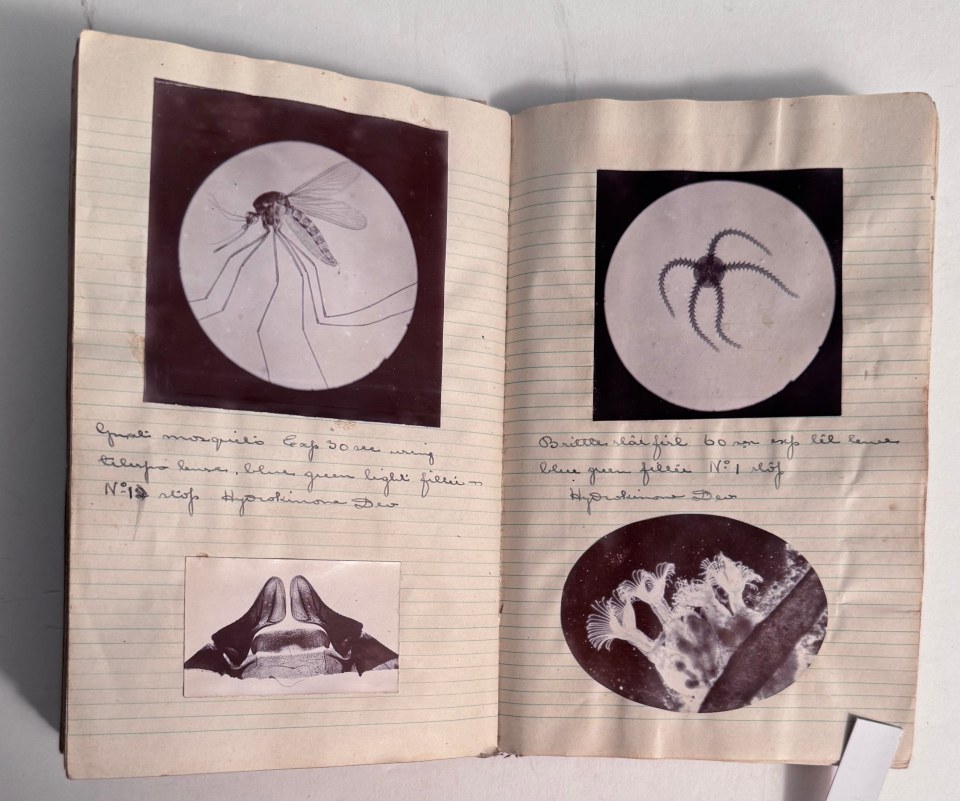 SOME PERSONAL PAPERS OF ALFRED WARD, R.N. INCLUDING HIS 1910 ALBUM OF MICROPHOTOGRAPHY, DIARIES WITH PHOTOS AND RELATED EPHEMERA