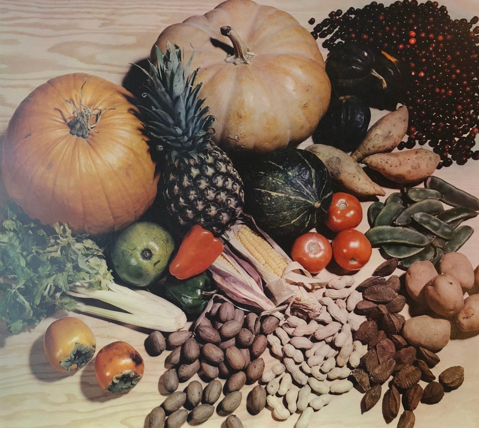 Harold Haliday Costain, Autumn Harvest, ​c. 1937. Color still life composition with various fruits, vegetables, and nuts.