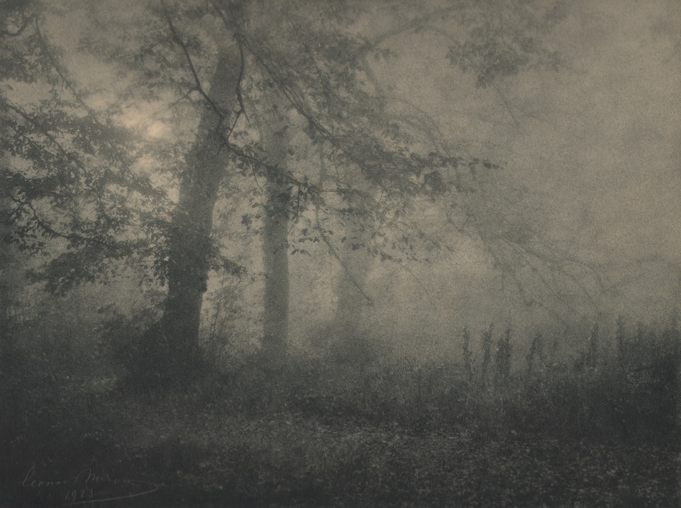 27. L&eacute;onard Misonne, Brume, 1923. Trees occupy the left of the frame, low brush on the right. Soft light coming from the left. Gray/green-toned print.