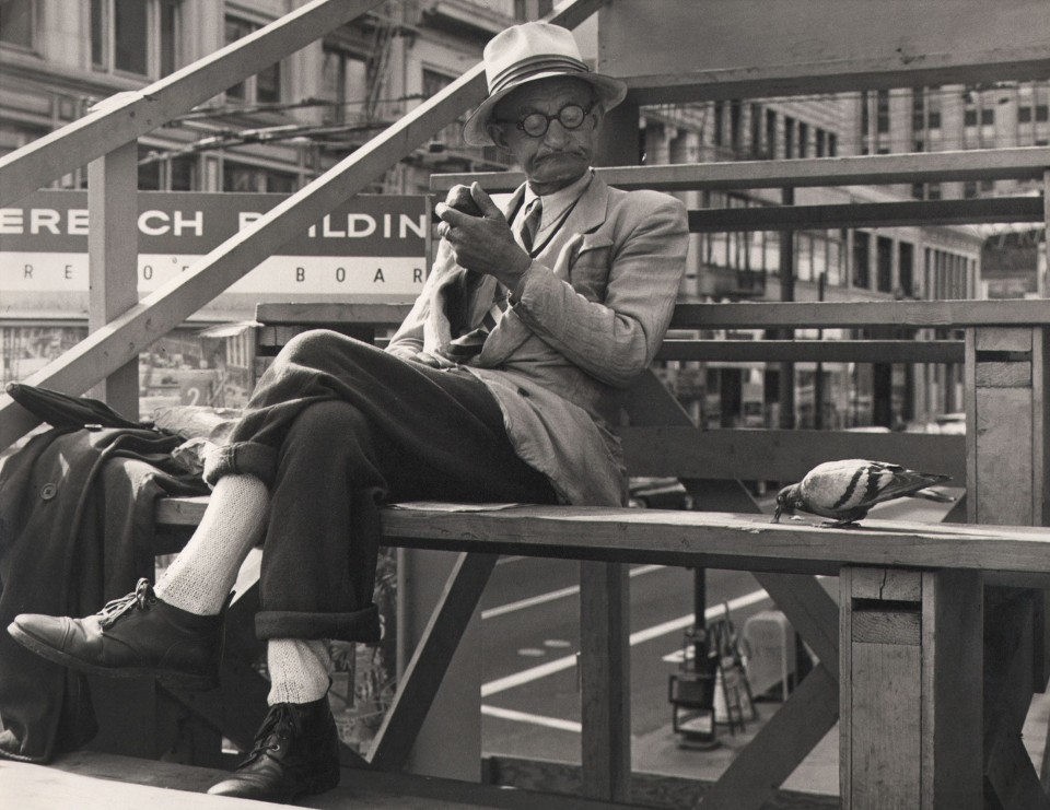 James MacPherson, Untitled, ​c. 1961. An older man in round glasses with legs crossed sits on wooden risers, looking down at a pigeon perched beside him.