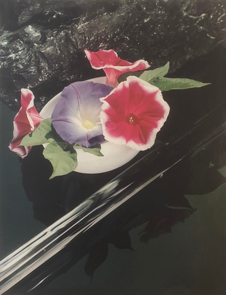 Hi Williams, Untitled, ​c. 1937. Pink and purple flowers in a small white vessel against a reflective black surface.