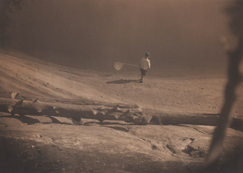 15. Antoinette B. Hervey, Beachcombing, Indian Lake, c. 1927. Young boy walking on a beach, holding a net. Photographed from behind. Large piece of driftwood divides the frame horizontally.