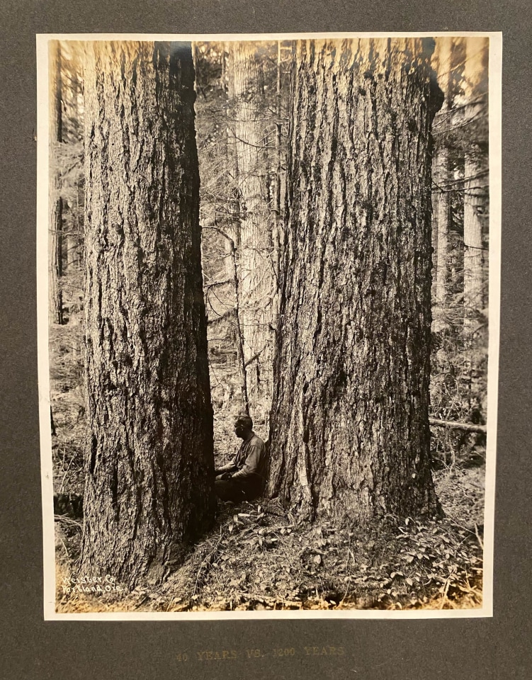 OREGON PACIFIC COAST LOGGING VIEWS GEO WEISTER PHOTO ALBUM