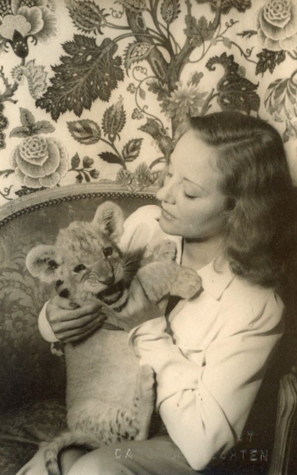 TALLULAH BANKHEAD WITH PET LION BY CARL VAN VECHTEN