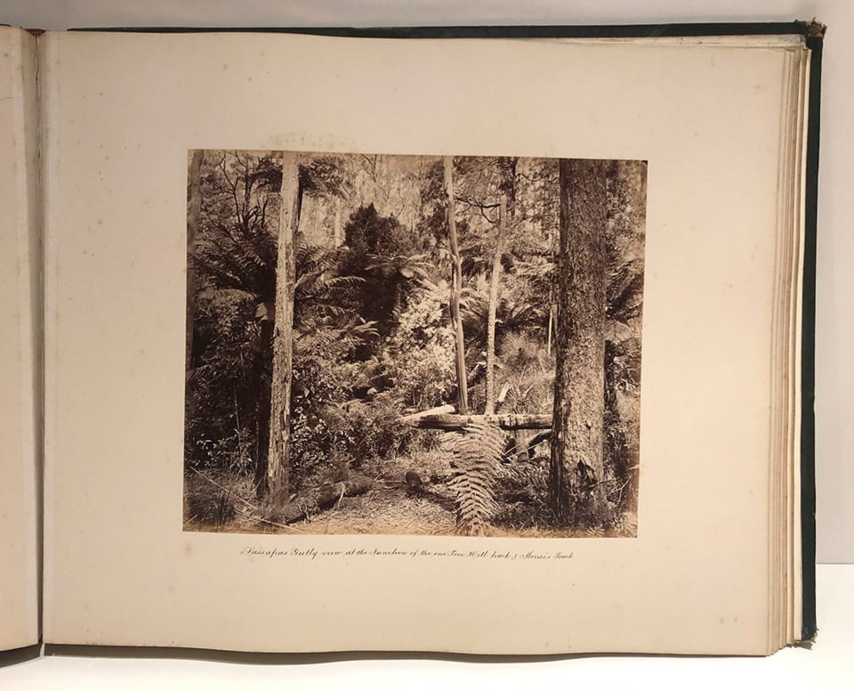 LARGE VIEWS IN VICTORIA ALBUM C. 1860