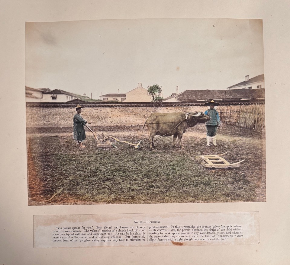 WILLIAM THOMAS SAUNDERS (1832-1892) DELUXE ALBUM HAND COLORED