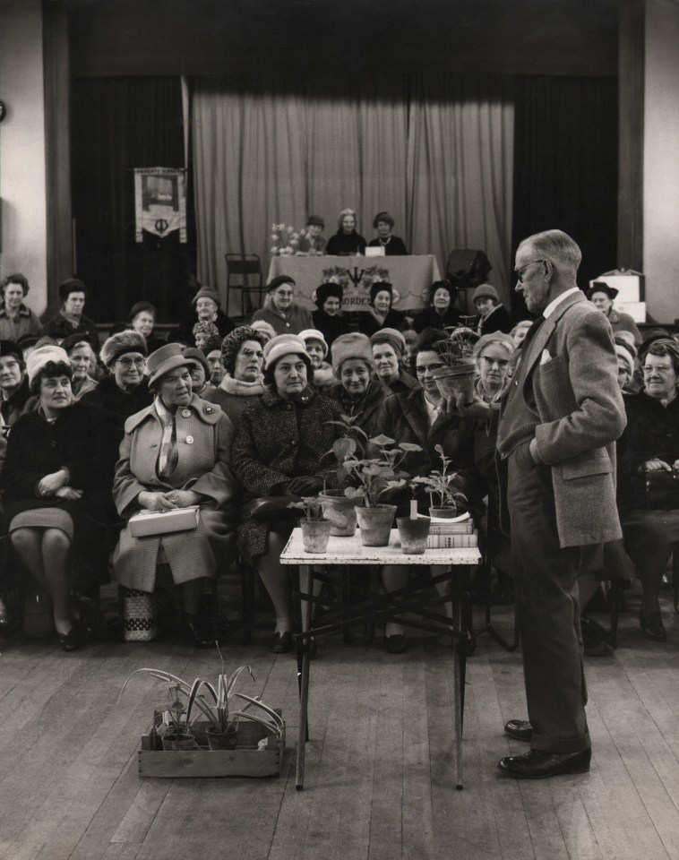 18. Barnet Saidman, A charming record of one aspect of English social life - a lecture to the Women's Institute on pot plants. Mr. Saidman made this as one of a series on England for the Milan Exhibition, c. 1965. A man on the right stands by a small table of plants as an audience of women watches on.