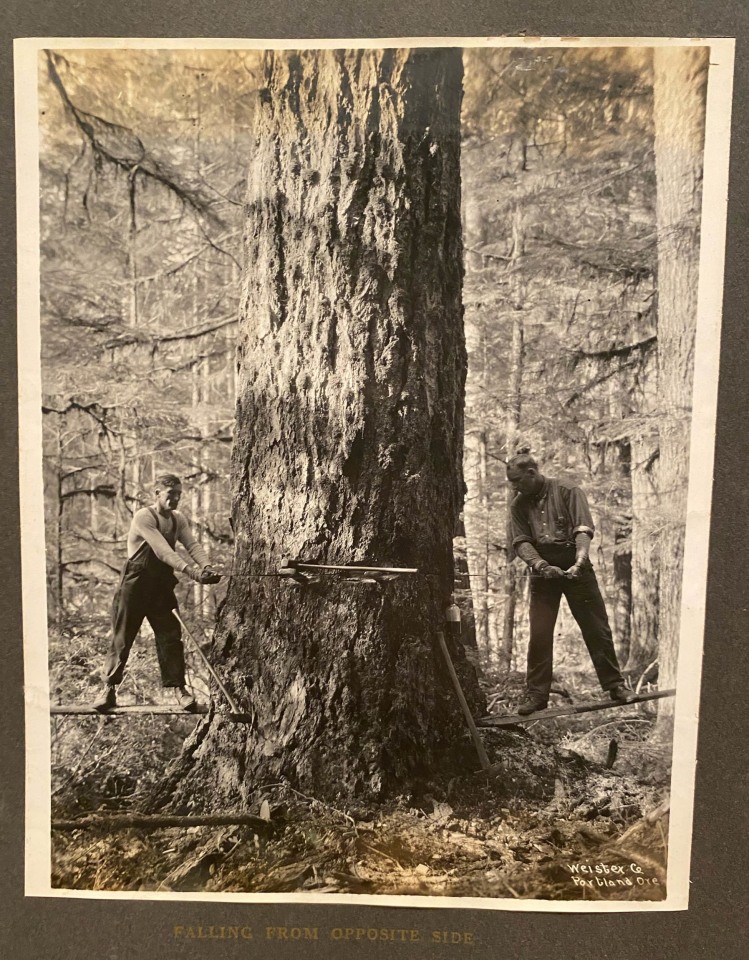 OREGON PACIFIC COAST LOGGING VIEWS GEO WEISTER PHOTO ALBUM