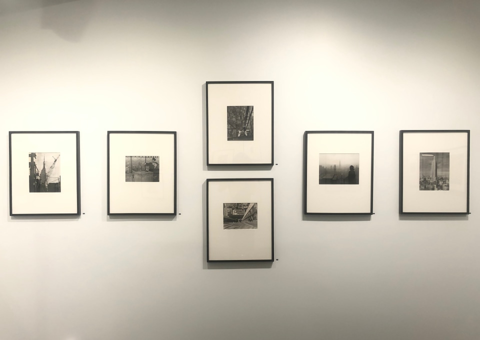 THE EMPIRE STATE BUILDING: A CELEBRATION IN PHOTOGRAPHS