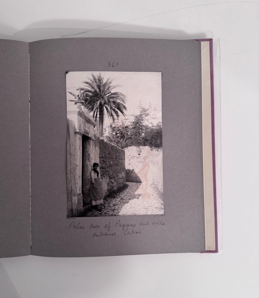 JAMES W. HOLCOMBE ALBUM OF NAPLES AND SURROUNDING DISTRICTS