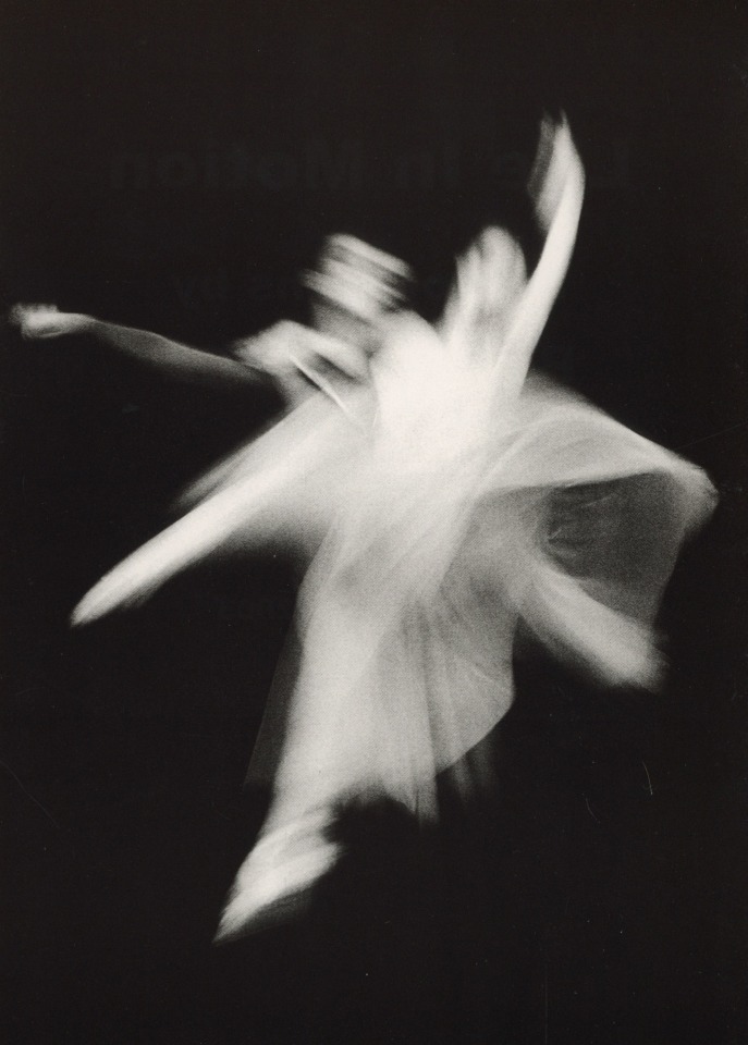 LIFE IN MOTION