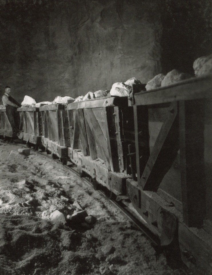 HAROLD HALIDAY COSTAIN: SUGAR &amp; SALT