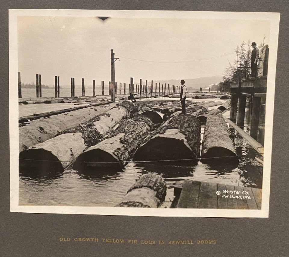 OREGON PACIFIC COAST LOGGING VIEWS GEO WEISTER PHOTO ALBUM