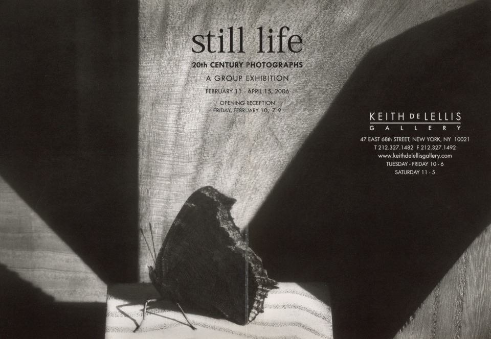 STILL LIFE