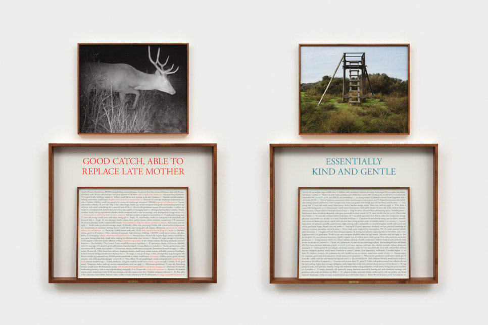 Sophie Calle