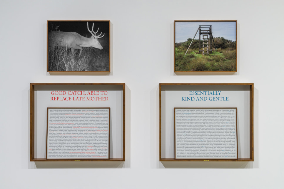 Sophie Calle