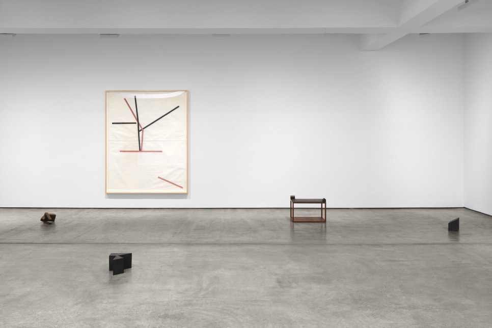 Barbara A. MacAdam: &quot;Joel Shapiro&quot;