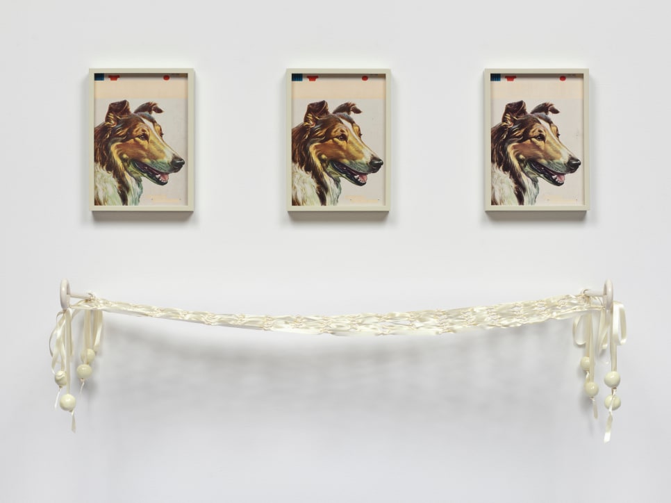Elad Lassry