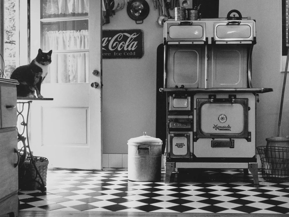 Black and white photograph of a cat on a table in a kitchen