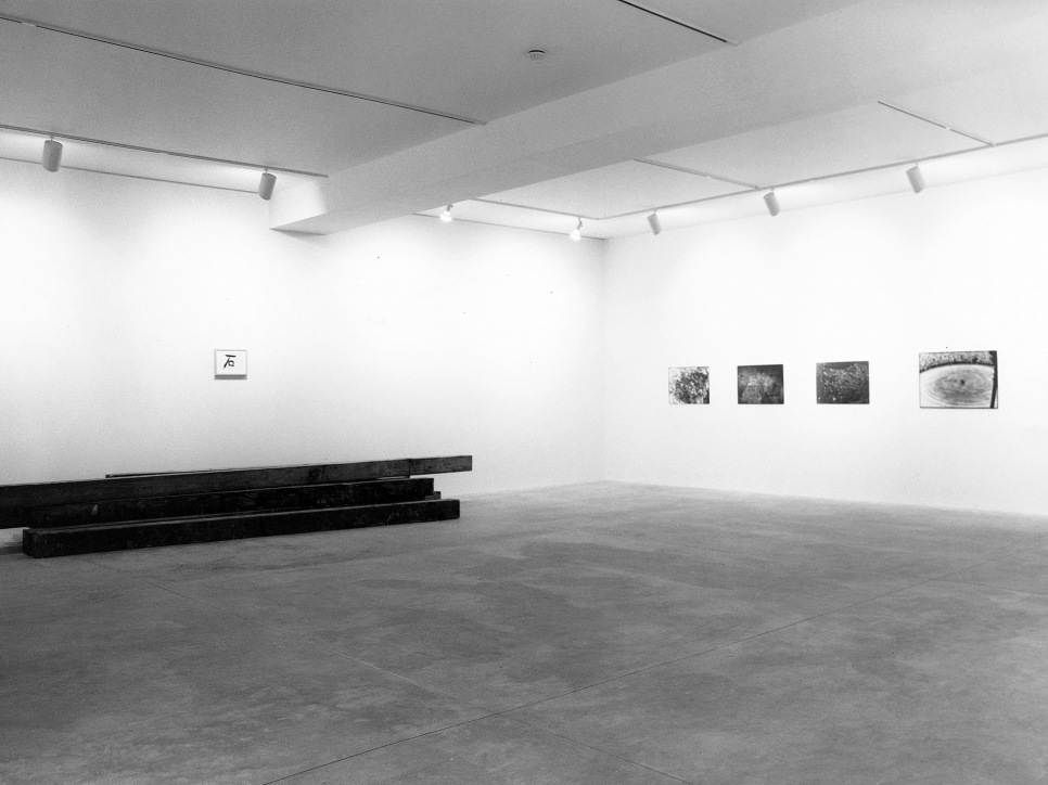 Günther Förg, Kenji Fujita, Robert Gober, Georg Herold, Jon Kessler, Liz Larner, Zoe Leonard