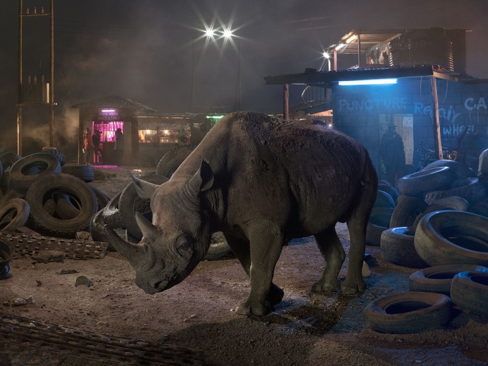 Nick Brandt - To convey the real threat to wildlife, photographer Nick Brandt built fake human habitats in Africa by Liesl Bradner (Los Angeles Times)