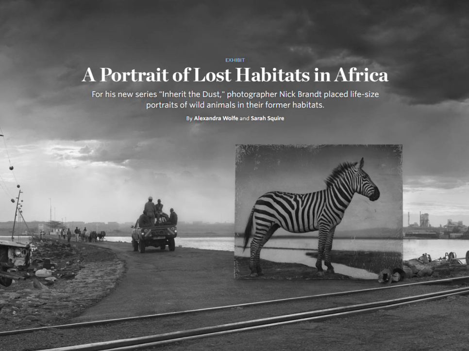 Nick Brandt: A Portrait of Lost Habitats in Africa - Wall Street Journal