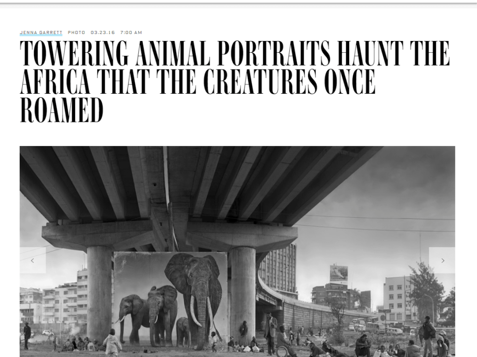 Nick Brandt: Towering Animal Portraits Haunt the Africa That the Creatures Once Roamed - Wired