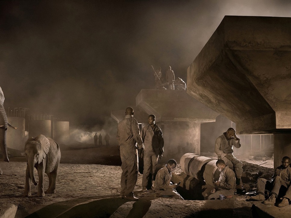 Nick Brandt's best photograph: elephants and building workers share a crowded Africa by Dale Berning Sawa (The Guardian)