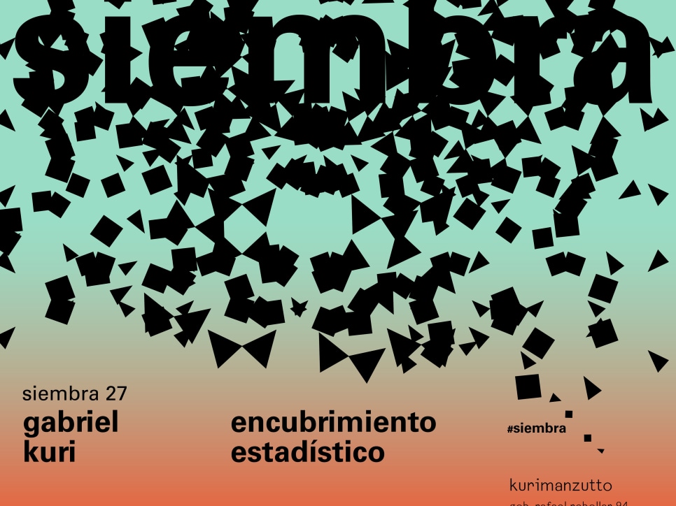 gabriel kuri - statistical cover up