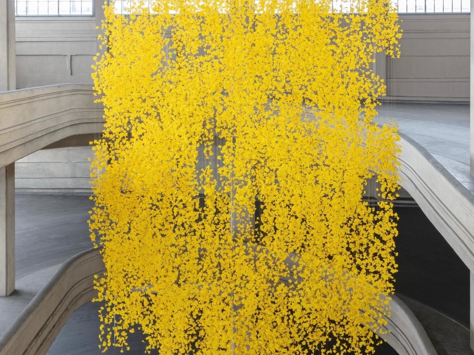 exposición | allora &amp; calzadilla: graft (phantom tree)