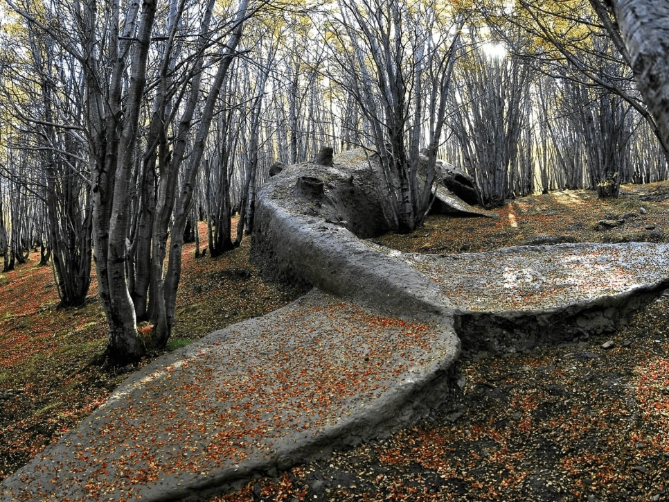 press: Art of Argentina: Adrián Villar Rojas – Amazing Venice Biennale 2011