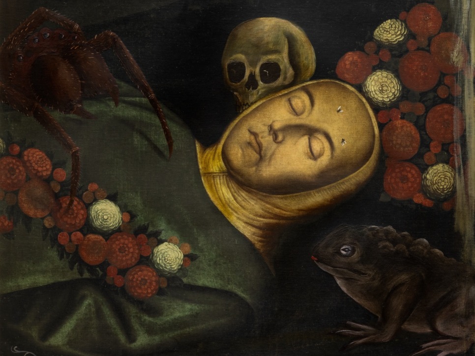 exposición: dr. lakra en el Museo de Arte Miguel Urrutia