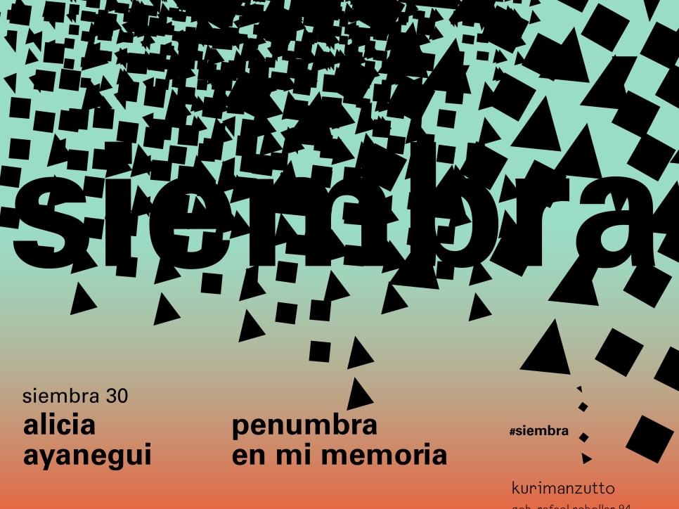 alicia ayanegui - shadows in my memory