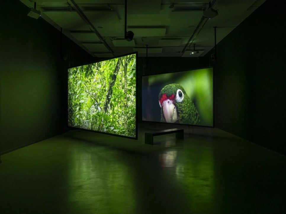 exposición | el gran silencio de allora &amp; calzadilla