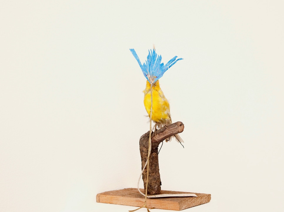 exhibition: Petrit Halilaj. RUNIK