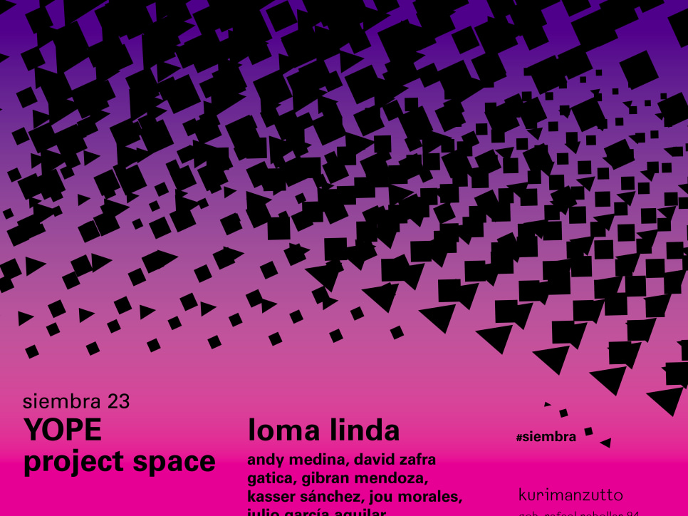 yope project space - loma bonita