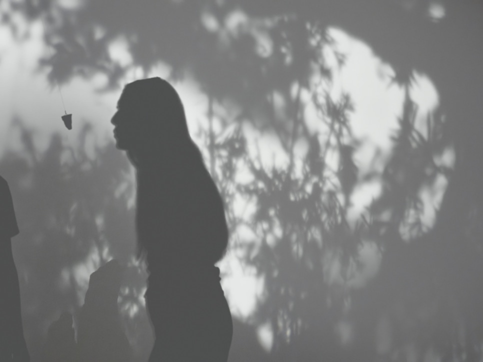 exposición | allora &amp; calzadilla: klima