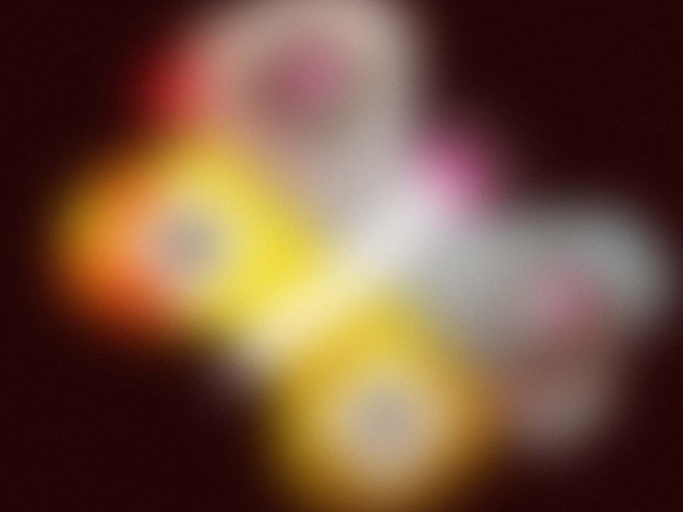 noticia: kurimanzutto recibe a château shatto para condo 2024