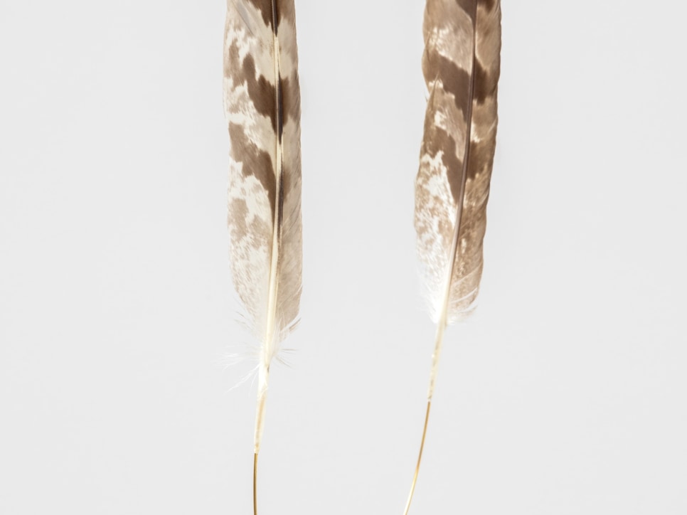 noticia: kurimanzutto en grisebach, suiza