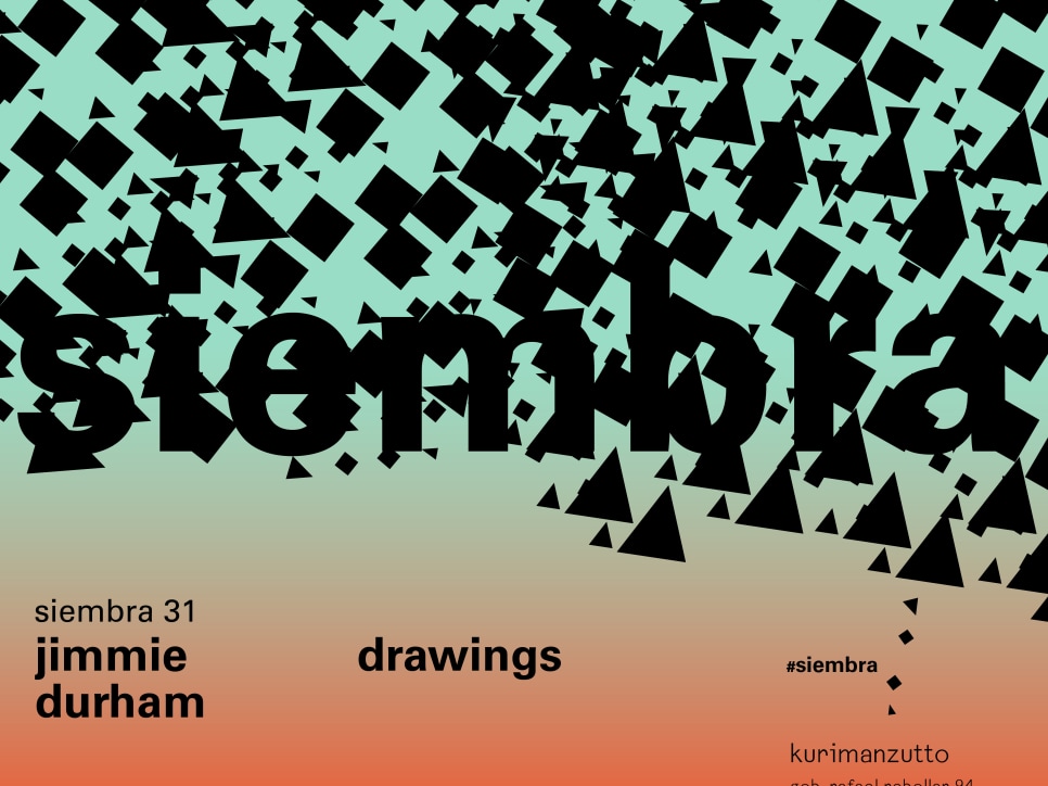 jimmie durham - drawings