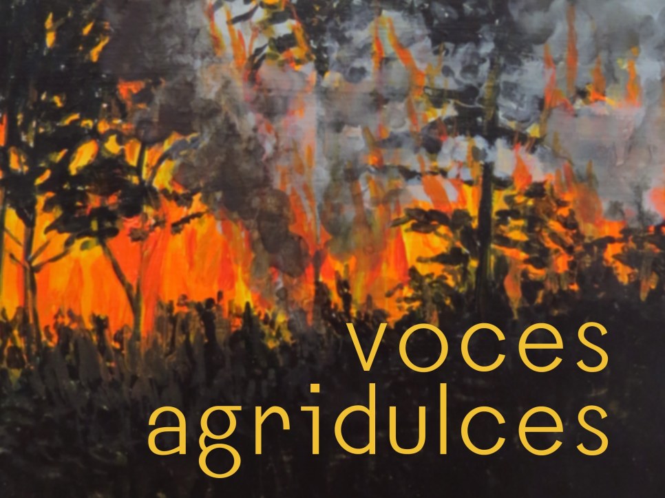 playlist: sofía táboas - voces agridulces