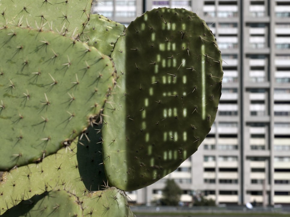 from the archive - anri sala