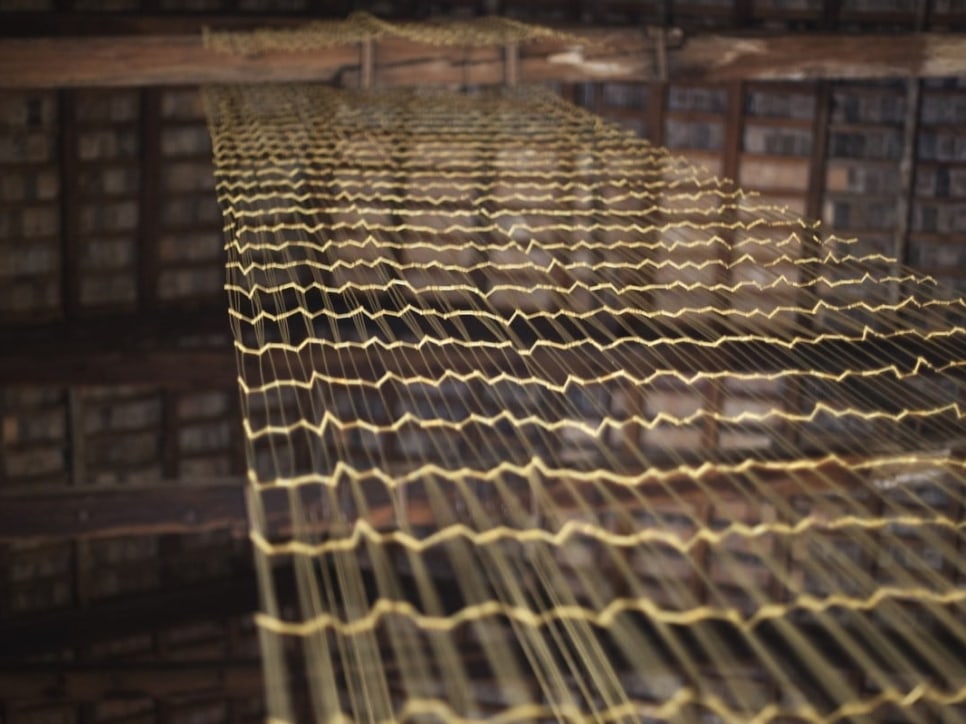 Leonor Antunes participates in Palazzo Giustinian Lolin in Venice with her exhibition a seam, a surface, a hinge or a knot