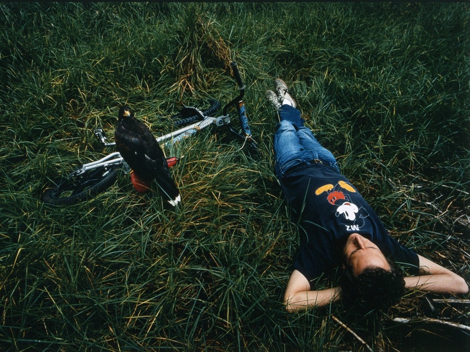 from the archive - miguel calderón