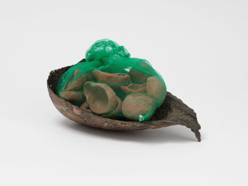 Veronica Ryan: Unruly Objects