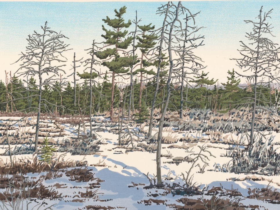 Hand-colored etching by Neil Welliver of curved curved yellow, green, and brown lines over blue and featuring a salmon fish