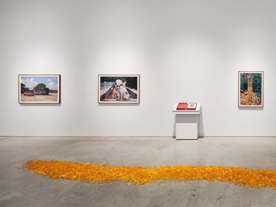 Installation view of "Laura Anderson Barbata: Singing Leaf" showcasing a small wooden kayak on a river of marigolds amongst several large drawings and sculptures.