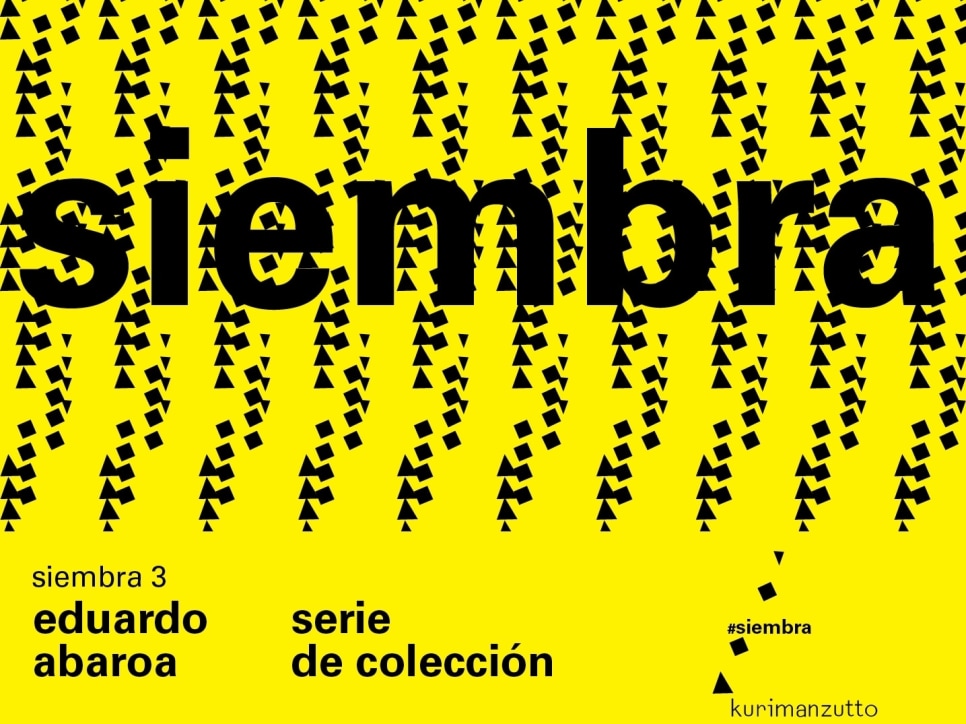 eduardo abaroa – serie de colección