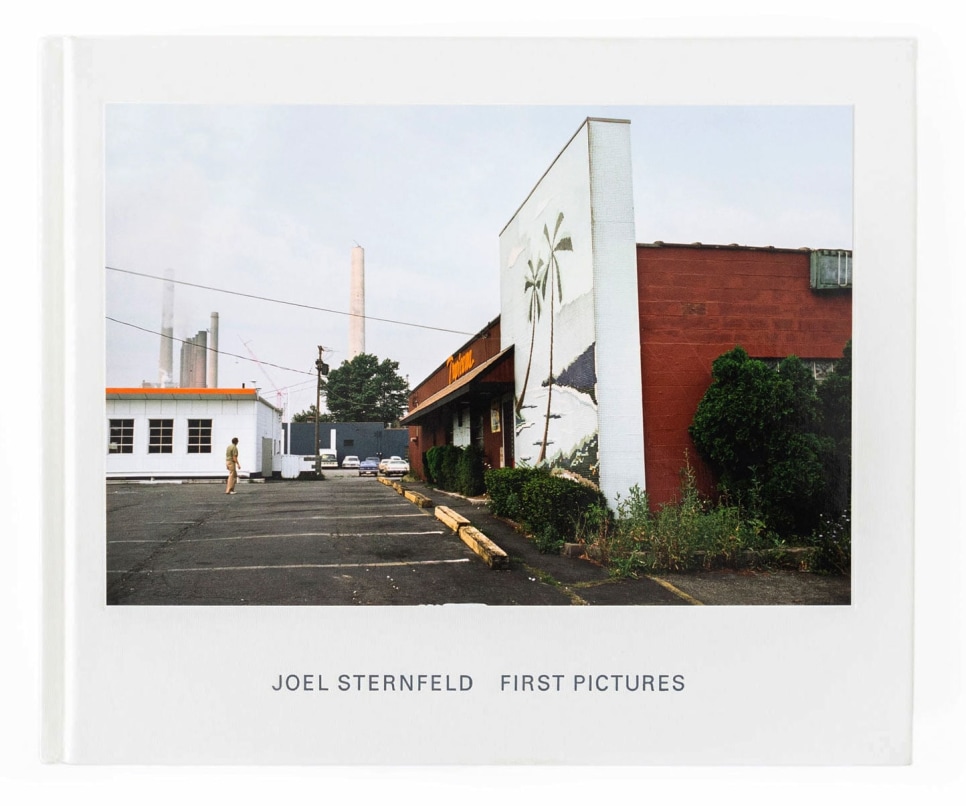 Joel Sternfeld, First Pictures book, 2012